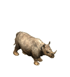 Gif animé rhinocéros attaque